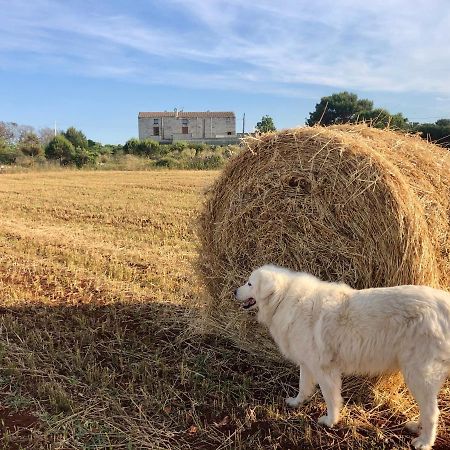 Agriturismo La Palascia Masseria Agreste Otranto Bagian luar foto
