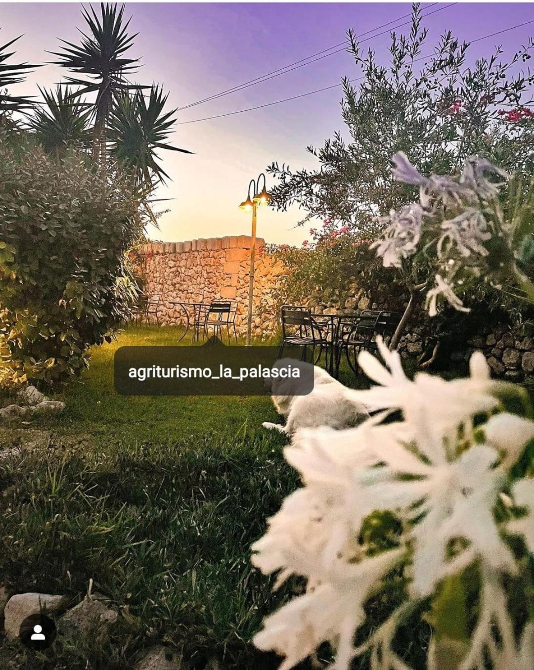 Agriturismo La Palascia Masseria Agreste Otranto Bagian luar foto