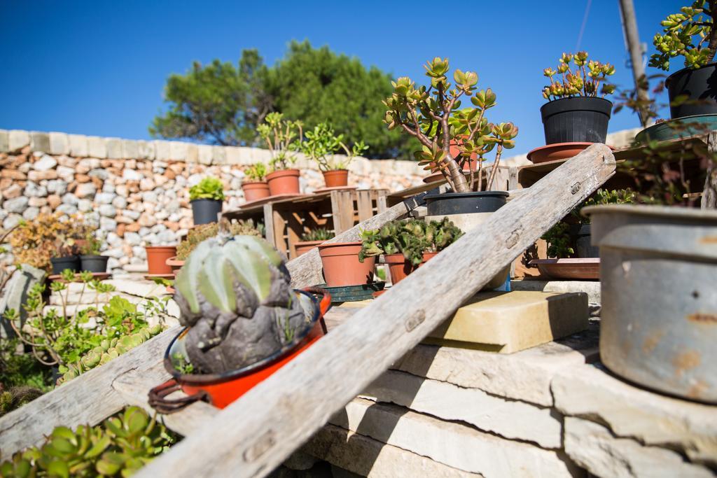 Agriturismo La Palascia Masseria Agreste Otranto Ruang foto