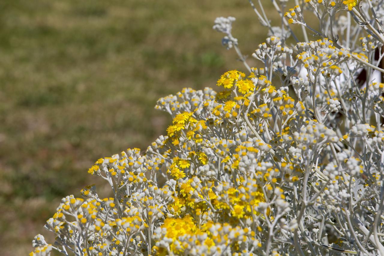 Agriturismo La Palascia Masseria Agreste Otranto Bagian luar foto